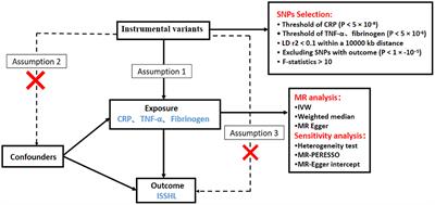 Inflammatory markers and the risk of idiopathic sudden sensorineural hearing loss: A Mendelian randomization study